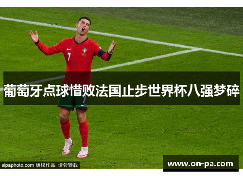 葡萄牙点球惜败法国止步世界杯八强梦碎